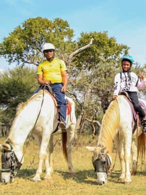 2 hour Sunrise Horseback Safari - How This Experience Compares to Other South African Tours