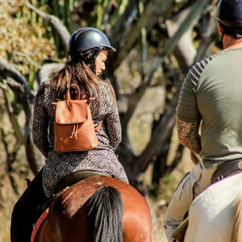 2 hour Sunrise Horseback Safari - Who Will Love This Safari?