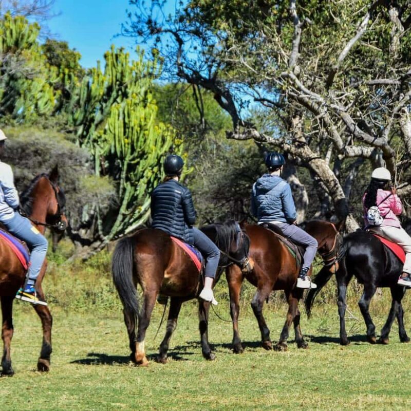 2 hour Sunrise Horseback Safari - Final Thoughts: Is It Worth It?