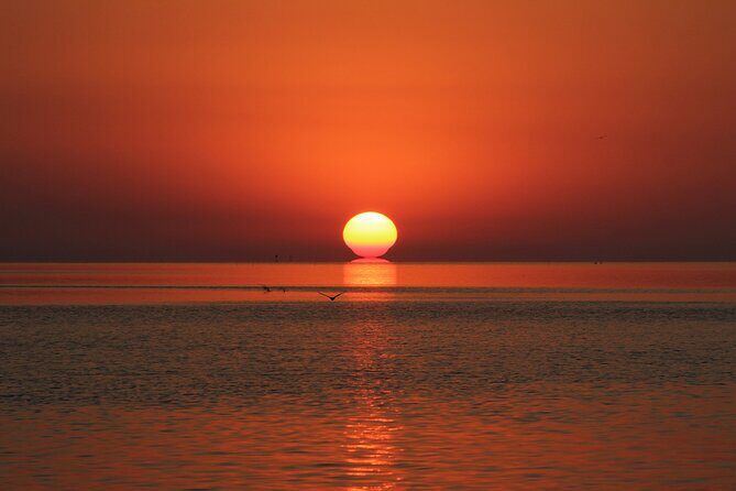 2 Hour Sunset Eco-Cruise - What to Expect from the Itinerary