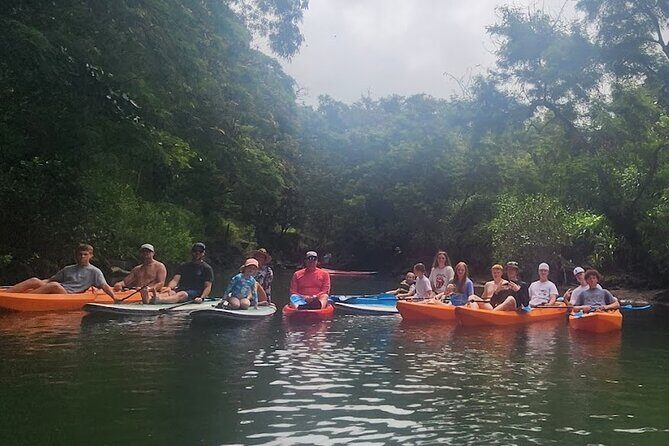 2 hour tandem kayak rental at our private launch area in Hale'iwa - An Overview of the Experience