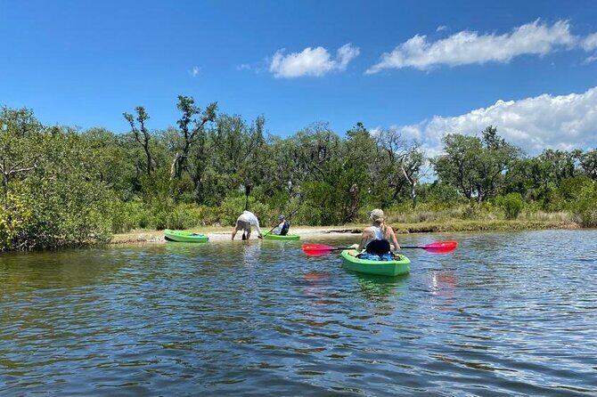 2 Hour Tandem Kayak Tour (Price for 2 People) - What to Expect from the 2-Hour Tandem Kayak Tour
