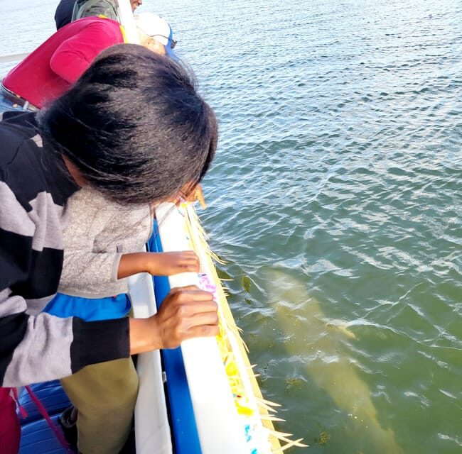 2 Hour Tiki Dolphin Sightseeing Tour in Cocoa Beach - FAQ