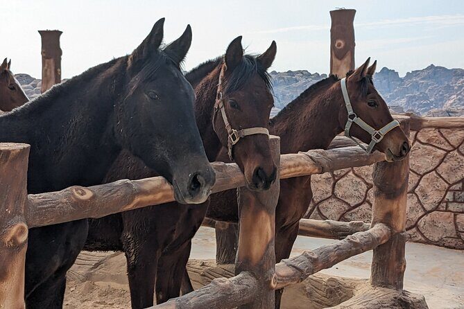 2 Hour Trail Ride to Little Petra-Morning or Sunset - Key Points