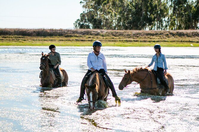 2 Hour Vineyard Trail Ride - An In-Depth Look at the 2 Hour Vineyard Trail Ride