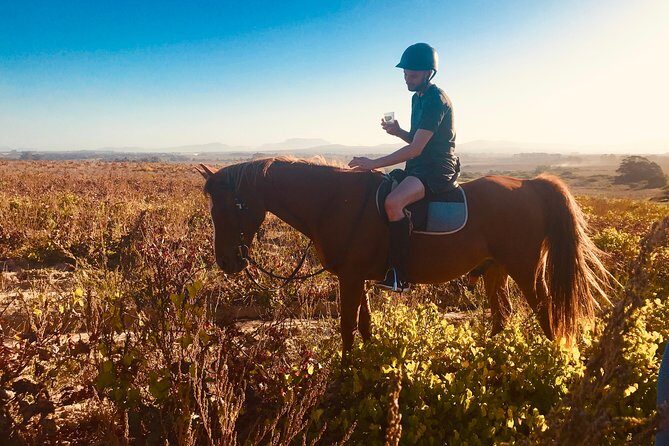 2 Hour Vineyard Trail Ride - FAQs