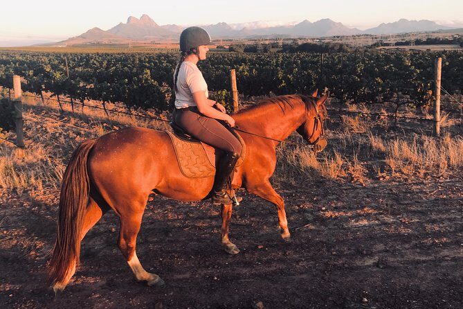 2 Hour Vineyard Trail Ride - Final The Sum Up