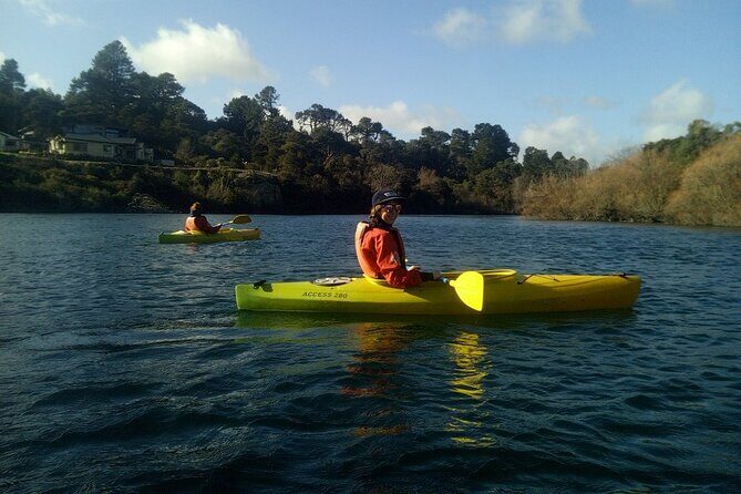 2-Hour Waikato River Guided Kayak Trip from Taupo - Practical Details and Considerations