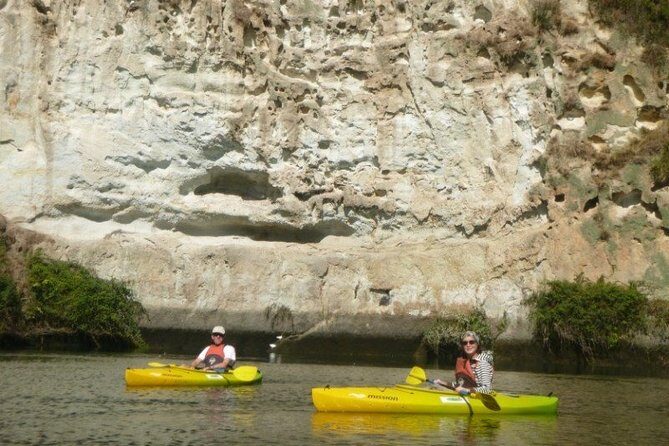 2-Hour Waikato River Guided Kayak Trip from Taupo - Why This Tour Is a Great Choice