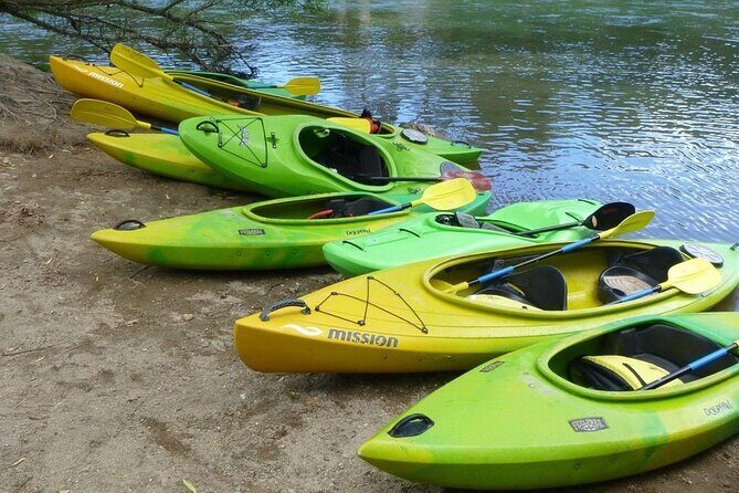 2-Hour Waikato River Guided Kayak Trip from Taupo - Who Should Consider This Tour?