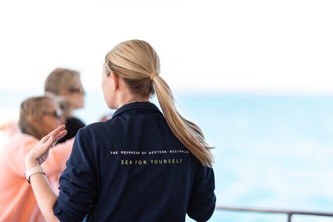 2 Hour Whale-Watching Cruise from Hillarys Boat Harbour - Who Should Consider This Tour?
