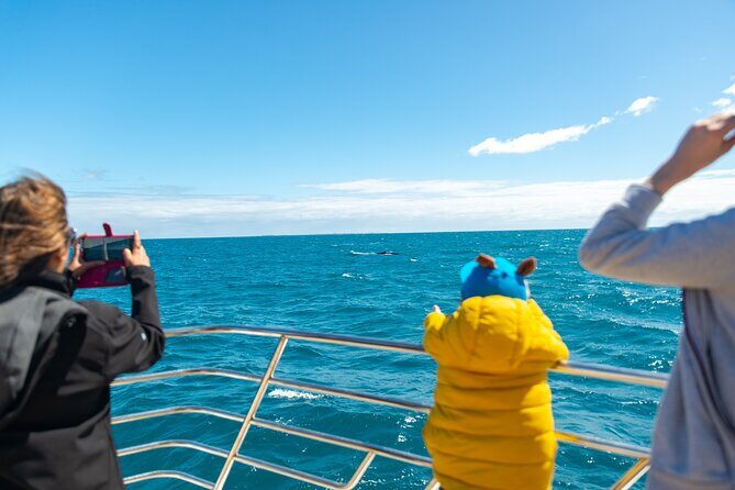2 Hour Whale-Watching Cruise from Hillarys Boat Harbour - Frequently Asked Questions