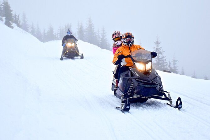 2 Hour Wilderness Adventure Snowmobile Tour in Whistler - The Experience in Practice: What Travelers Say