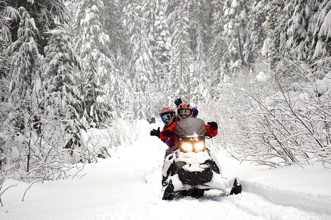 2 Hour Wilderness Adventure Snowmobile Tour in Whistler - Who Should Consider This Tour?