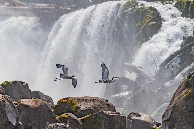 2-Hour Wildlife & Nature River Cruise on the Beautiful Willamette - Key Points