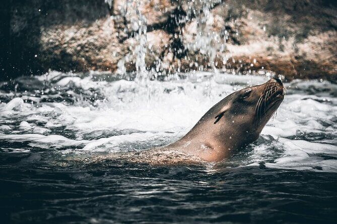 2-Hour Wildlife & Nature River Cruise on the Beautiful Willamette - The Sum Up