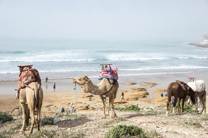 2 Hours Activity Surfing lessons in Taghazout - Key Points
