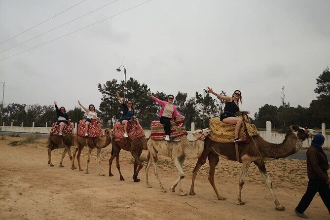 2 Hours Agadir Camel Riding Tour - Introducing the 2 Hours Agadir Camel Riding Tour