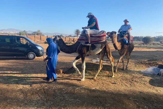 2 Hours Agadir Camel Riding Tour - Key Points