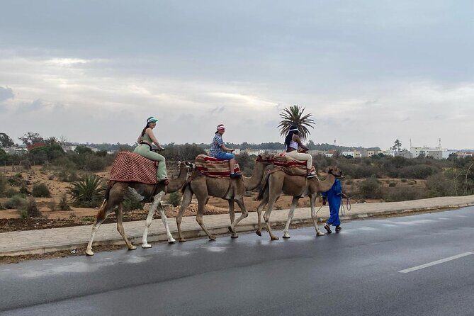 2 Hours Agadir Camel Riding Tour - Authentic Experiences and Authentic Reviews