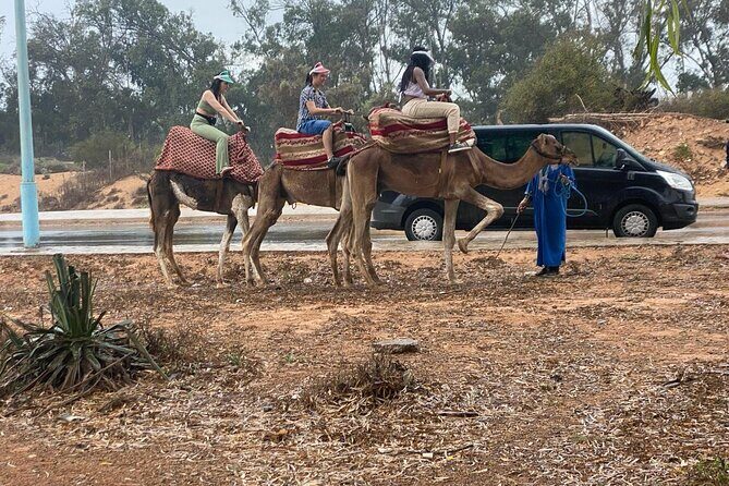 2 Hours Agadir Camel Riding Tour - Practical Details About the Tour