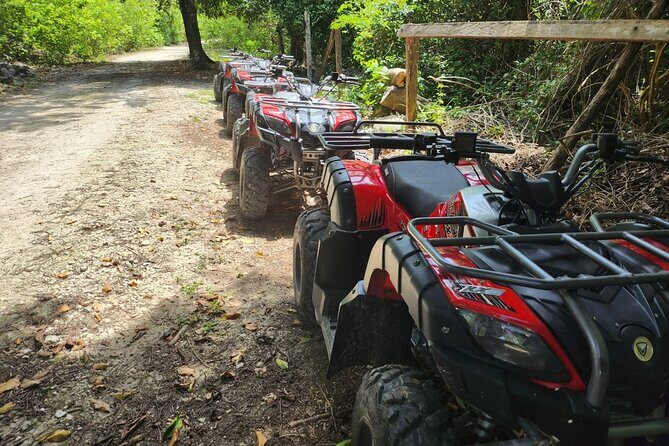 2 Hours ATV Jungle, Caverns and Mayan Ruins Tour - A Closer Look at the Experience