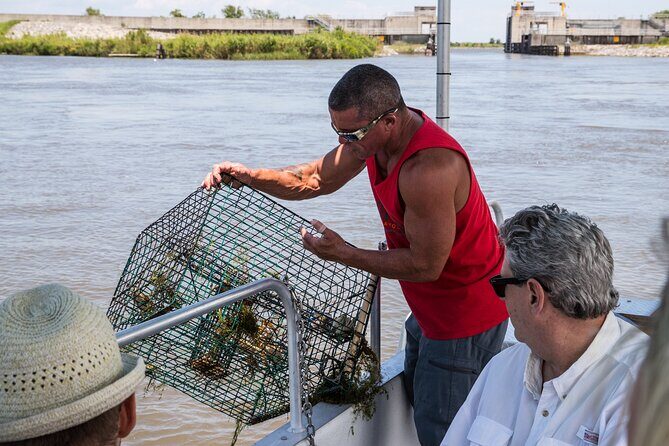 2 Hours Boat Tour in Louisiana Bayous Near New Orleans - In-Depth Look at the Itinerary