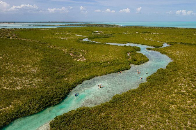 2 Hours Clear Kayaking Activity on Mangrove Cay - Who Will Love This Tour?
