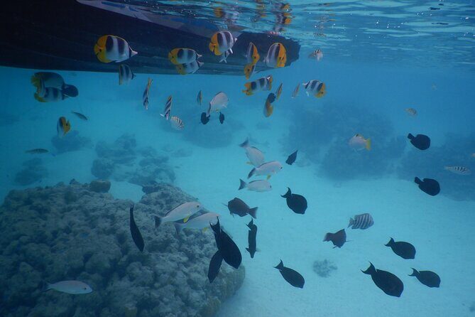 2 hours discovery tour of Moorea by Jet Ski - The Sum Up