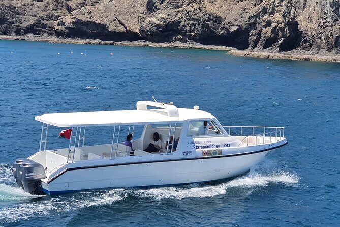 2 Hours Dolphin Watching Cruise in Muscat - What to Expect During the Cruise