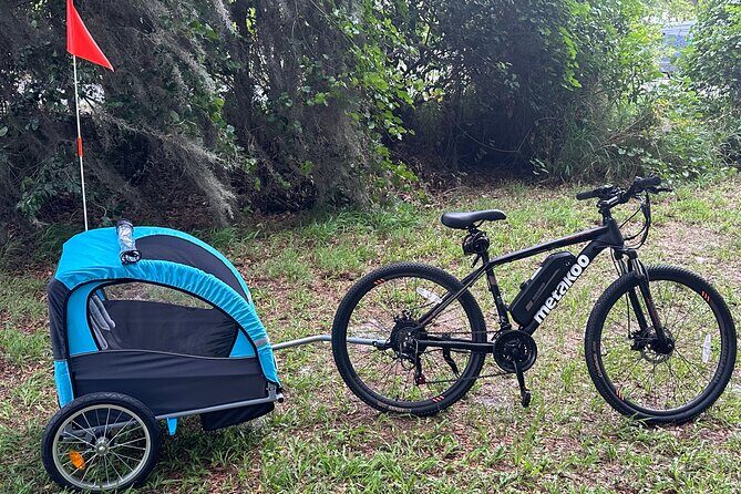 2 hours E-Bike with 2-Child Trailer Kissimmee Lakefront Tour - Introducing the Kissimmee Lakefront E-Bike & Child Trailer Tour