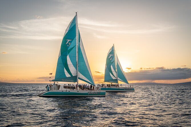 2 Hours Holo Holo Sunset Cocktail Sail with Open Bar - Key Points