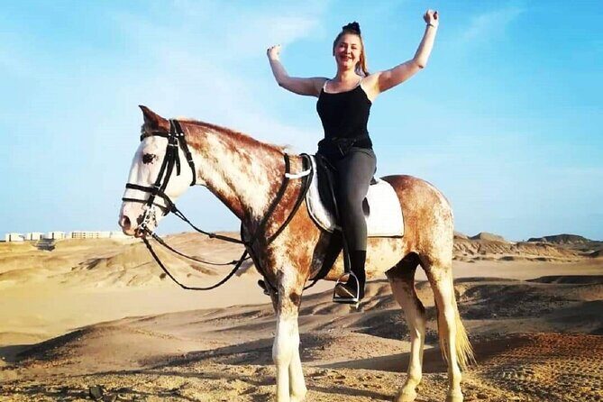 2 hours Horse Riding At Amazing Desert With Transfer - Sharm El Sheikh - The Experience in Detail