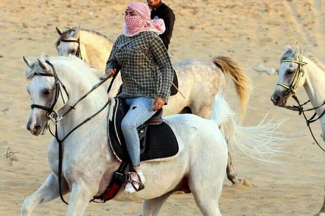 2 hours Horse Riding At Amazing Desert With Transfer - Sharm El Sheikh - The Reviews in Context