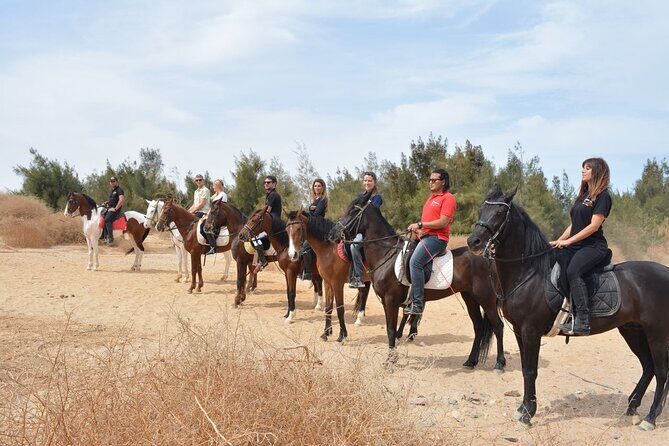 2 hours Horse Riding At Amazing Desert With Transfer - Sharm El Sheikh - Who Will Love This Tour?