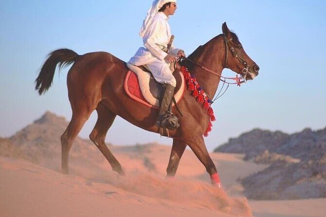 2 hours Horse Riding At Amazing Desert With Transfer - Sharm El Sheikh - Final Thoughts