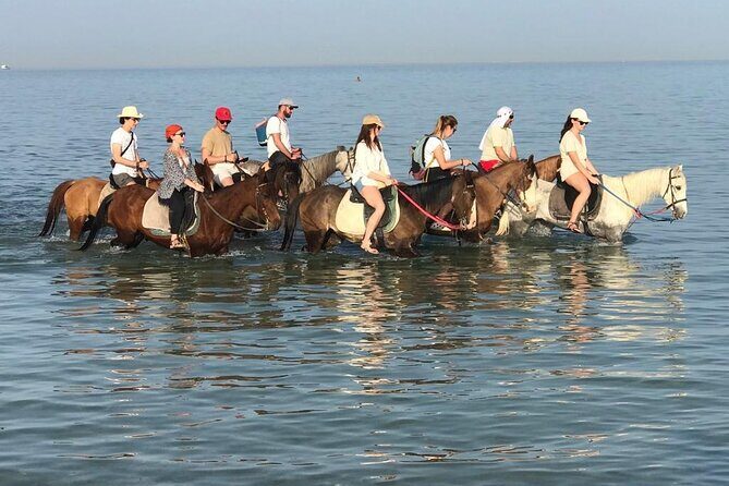 2 hours Horse Riding on The Sea and Desert- Hurghada - Key Points