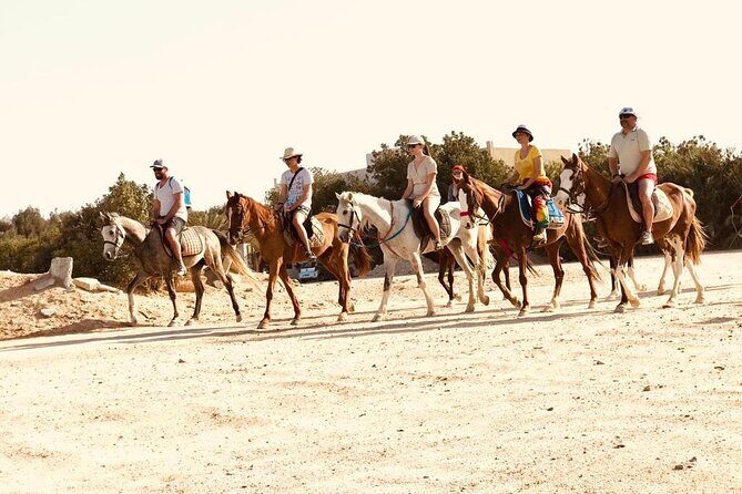 2 hours Horse Riding on The Sea and Desert- Hurghada - The Itinerary: What You Can Expect