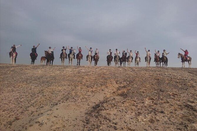 2 hours Horse Riding on The Sea and Desert- Hurghada - Drawbacks and Considerations