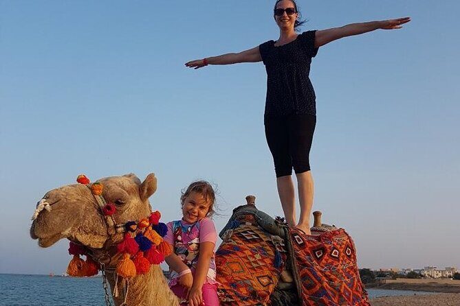 2 hours Horse Riding on The Sea and Desert- Hurghada - Who Should Consider This Tour?
