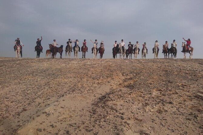 2 hours Horse Riding on The Sea and Desert- Hurghada - The Sum Up