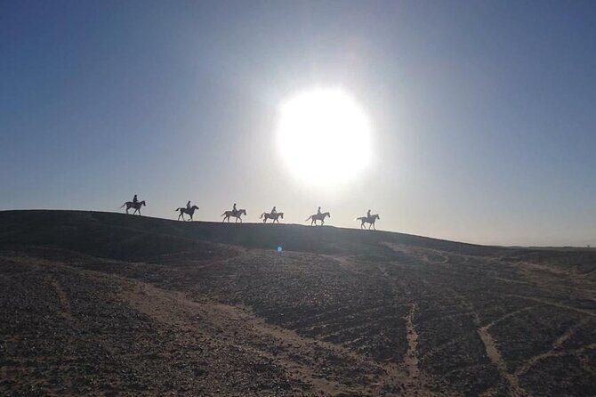 2 hours Horse Riding on The Sea and Desert- Hurghada - FAQ