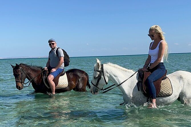 2 hours Horse riding or Camel riding at Hurghada - The Experience in Detail