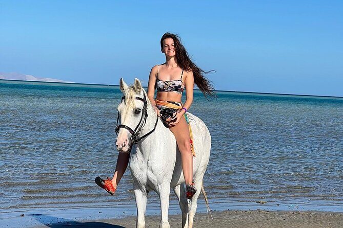 2 hours Horse riding or Camel riding at Hurghada - Who Will Love This Tour?