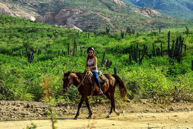 2 Hours Horseback Riding Adventure in Cabo - What Makes This Tour Special