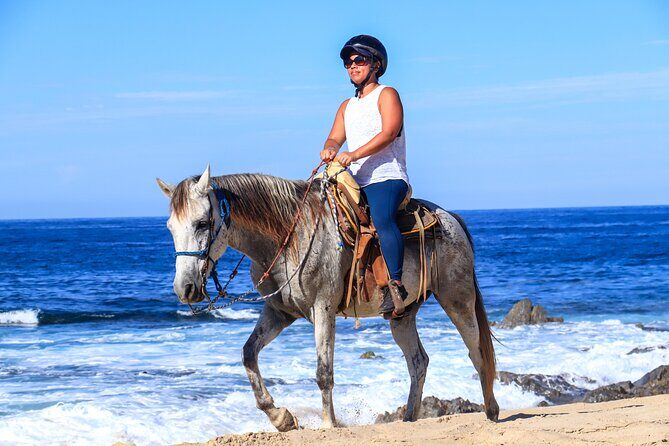 2 hours Horseback Riding & Dune Buggy Combo at Migriño Beach - An Authentic Cabo Adventure: Horseback Riding & Dune Buggies at Migriño Beach