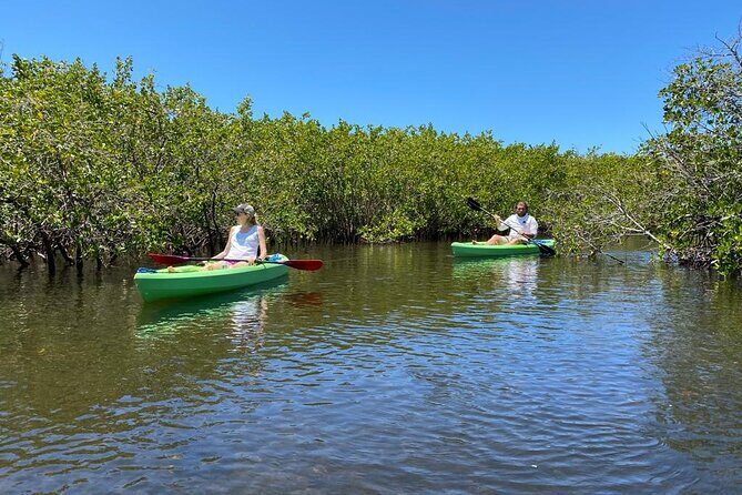2 Hours Kayak Eco Tour in Tarpon Springs - An In-Depth Look at the Experience