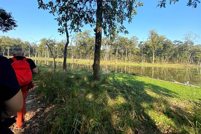 2 Hours Nature Walk in Chitwan National Park - Discovering Chitwan National Park: A Practical Overview