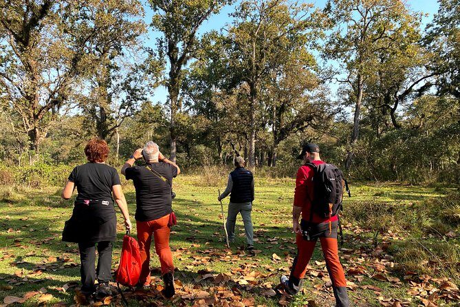 2 Hours Nature Walk in Chitwan National Park - Why This Tour is Worth It