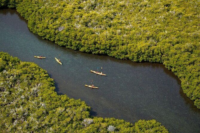 2 Hours of Kayak Safari in Bahía de La Paz - Exploring the 2 Hours of Kayak Safari in Bahía de La Paz
